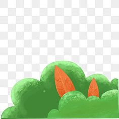 an orange and green plant with leaves on it's head, in front of a white background