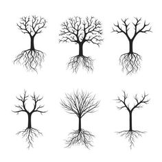 six different trees with roots on white background