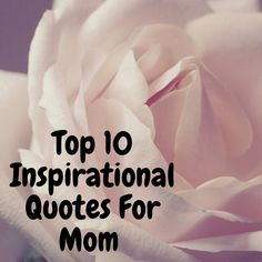 a pink rose with the words top 10 inspirational quotes for mom