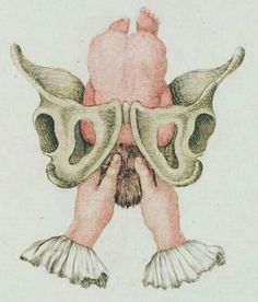 a drawing of the back of a person's head with two wings on it