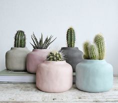 three different colored pots with cactus plants in them on a wooden table next to a white wall