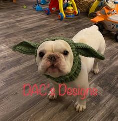 a white dog wearing a green knitted yoda hat and neck scarf with the words oac's designs on it