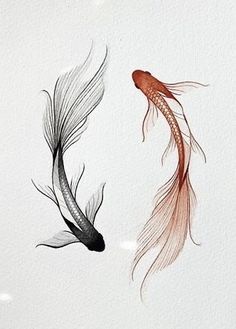 two black and red fish swimming side by side in the water, one with orange tails