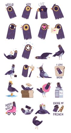 an illustrated poster with different types of birds