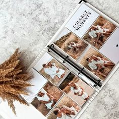 an open book with photos on it next to a dried plant