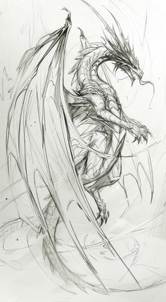 a black and white drawing of a dragon