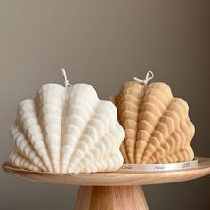 two seashells sitting on top of a wooden plate