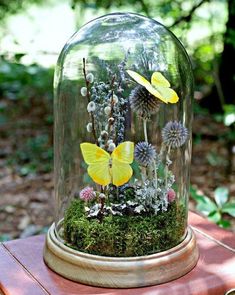 a glass dome filled with plants and butterflies on top of a wooden table in the woods