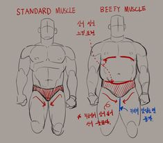 Body Sketches, Drawing Examples, Anatomy Sketches