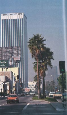 a city street with tall buildings and palm trees