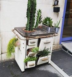 an old fashioned stove with plants growing out of it