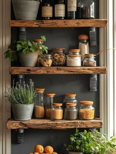 an assortment of spices and herbs on shelves