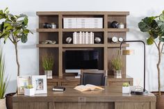 a wooden desk topped with a computer monitor next to two potted plants and a bookshelf