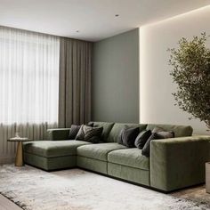 a living room filled with furniture and a plant in front of a large window on top of a rug