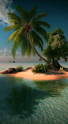 there is a palm tree on an island in the ocean