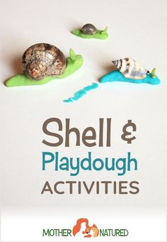 shells and playdough activities for children