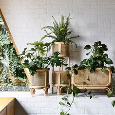 some plants that are sitting on a shelf next to a window in a room with white brick walls