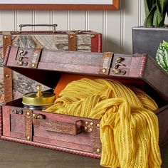 an open suitcase sitting on top of a wooden floor next to a potted plant