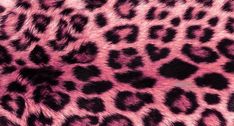 an animal print pattern is shown in pink, black and white colors on the fur