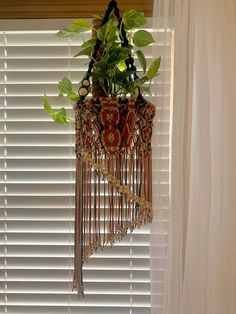 a potted plant hanging from the side of a window