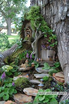 a fairy garden in the shape of a tree with a small house built into it