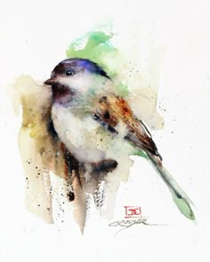 a watercolor painting of a bird on a white background