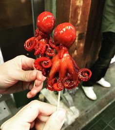 someone is holding an octopus lollipop in their hand