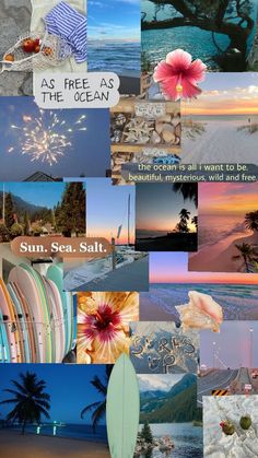 a collage of pictures with surfboards, flowers and palm trees in the background