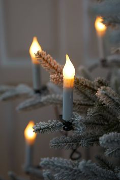 a lit christmas tree with candles in it