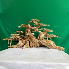 a bonsai tree is displayed on a white tablecloth with a green back ground