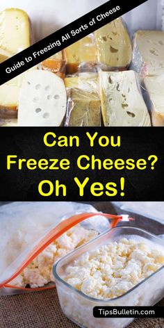 cheese and other foods are shown with the words can you freeze cheese? oh yes