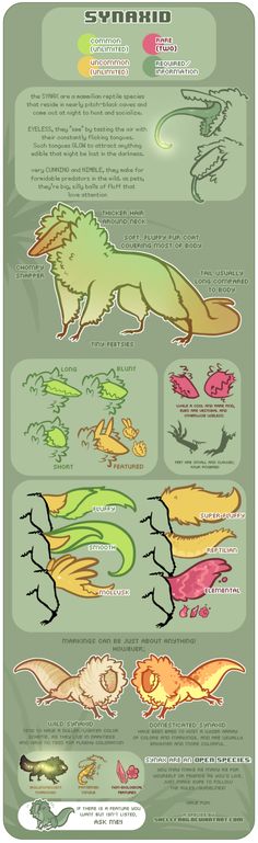 an info sheet showing the different types of lizards and other animals in their natural habitat