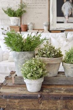 three potted plants sitting on top of a wooden table in front of a white couch