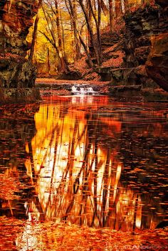 the reflection of trees in the water is very colorful