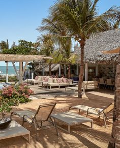 lounge chairs and tables on the beach with palm trees in the foreground, near a swimming pool