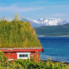 a red house with grass roof next to the ocean and mountains covered in snow - capped peaks