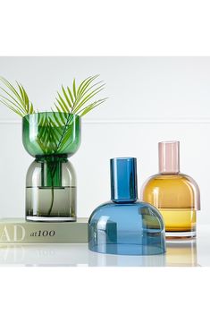 three different colored vases with plants in them