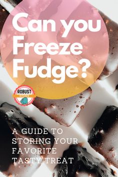 the cover of can you freeze fudge?