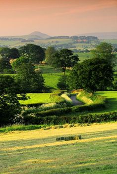 a lush green field filled with lots of trees and grass covered hillside next to a dirt road