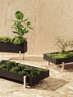 three black planters with plants in them