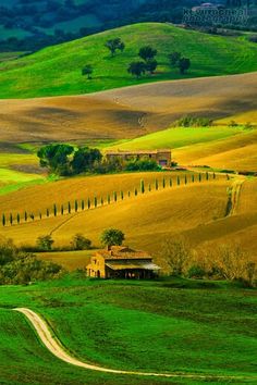 the rolling hills are dotted with green grass and trees, as well as an old farmhouse