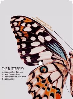 an image of a butterfly with its wings spread out and the words, the butterfly