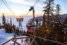 Fall and Winter Thrills: Day Trips from Vancouver  | YWCA Hotel Vancouver Capilano Suspension Bridge, Bowen Island, Grouse Mountain, Downtown Vancouver, Cozy Cafe, Suspension Bridge, Winter Adventure, Whistler, Weekend Getaway