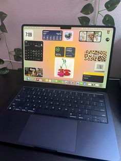 an open laptop computer sitting on top of a desk next to a potted plant