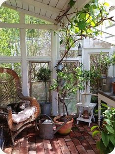 a room filled with lots of potted plants on top of a wooden floor next to a window