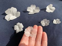 a hand holding some white flowers on top of a blue surface with other pieces of paper in the background