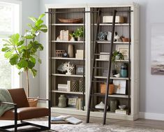 a living room filled with furniture and a tall bookcase next to a window covered in plants