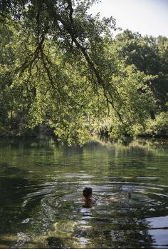 a person swimming in the water under a tree