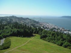 an aerial view of a city and the ocean with trees in the foreground, on a sunny day