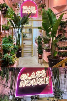 the entrance to glass house is decorated with plants and potted plants in pink hues